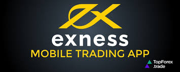 Exness Egypt Your Gateway to Forex Trading Exness Egypt Your Gateway to Forex Trading